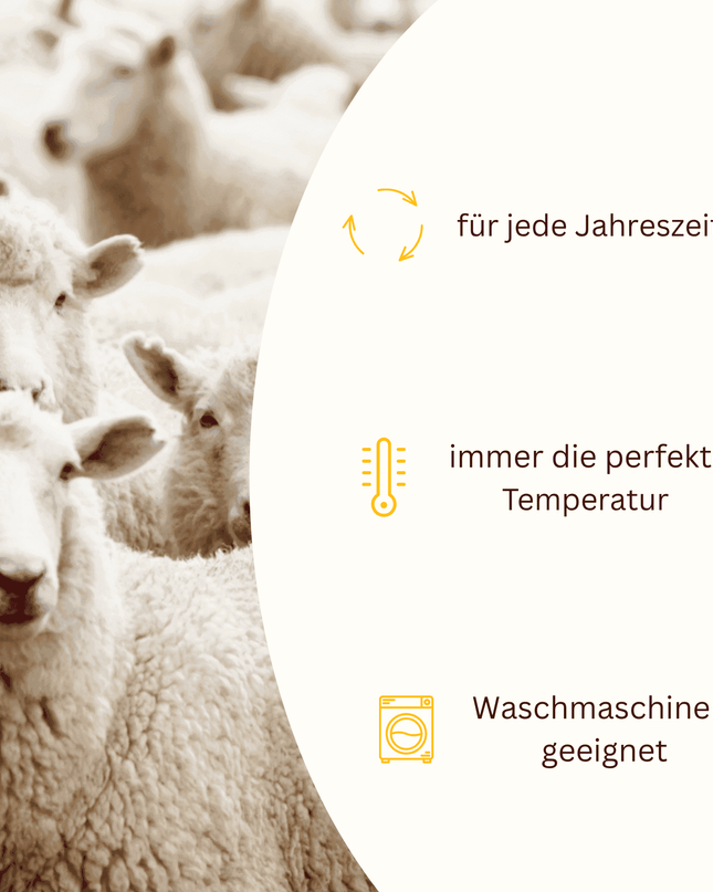 Kleines Set Wickeljacke & Latzhose