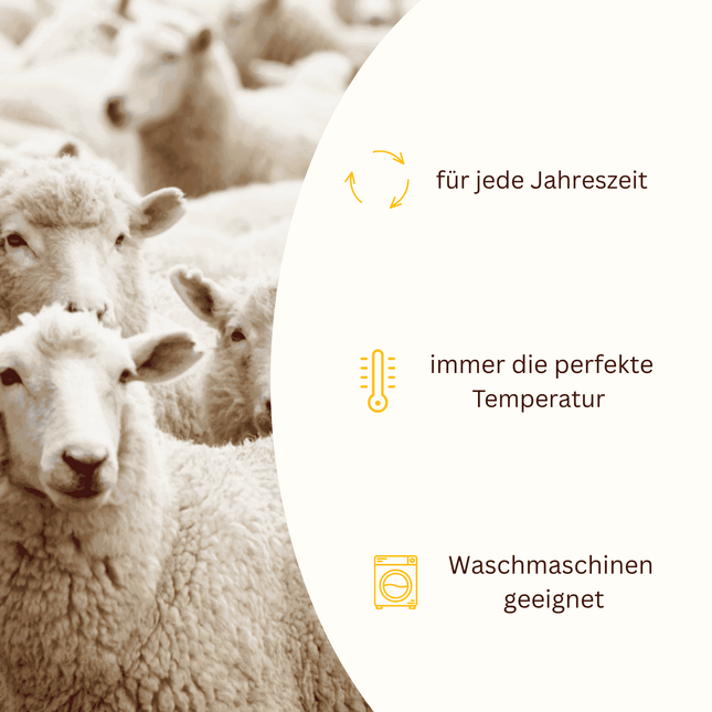 Kleines Set Wickeljacke & Latzhose