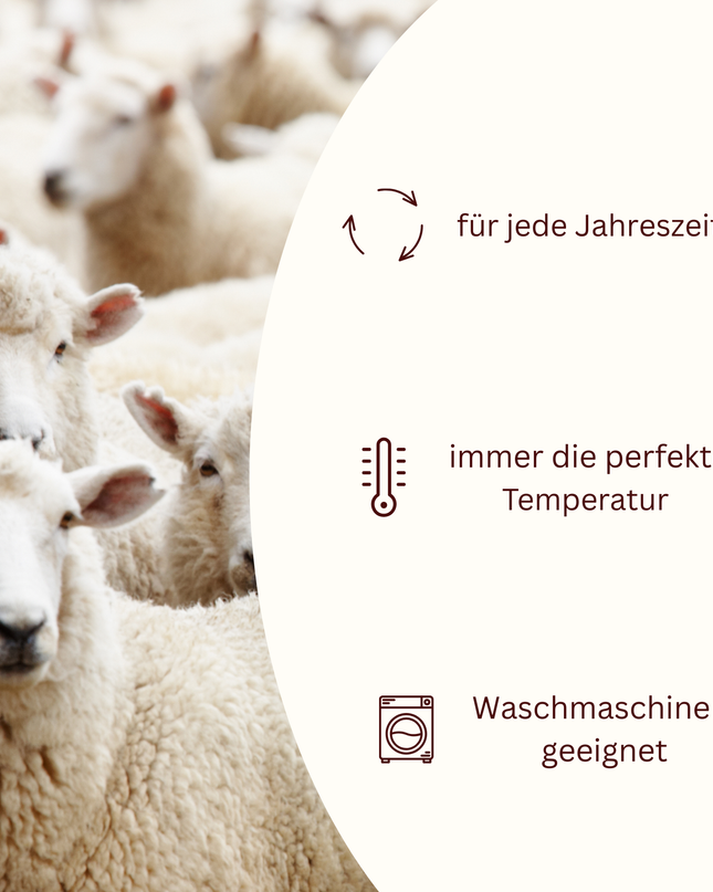 MERINO TROUSERS Luna